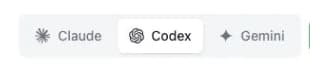 选择 Codex 分组