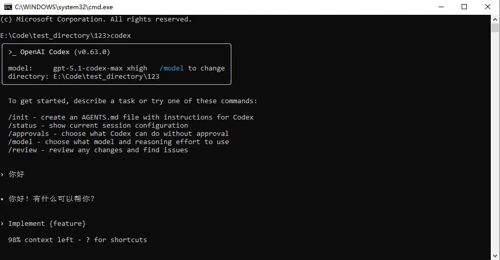 Codex 运行测试
